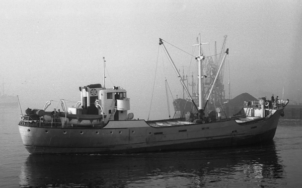 Golondrin by T. Diedrich Golondrin by T. Diedrich